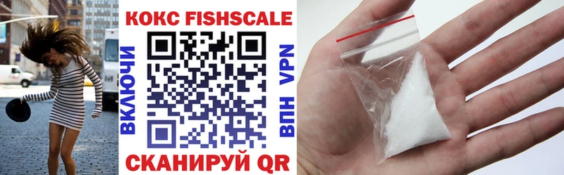 Купить закладки  Кудрово  COCAIN Fish Scale 