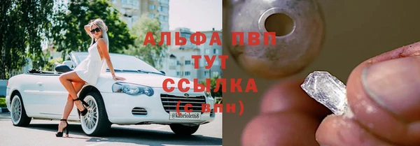 стаф Медногорск