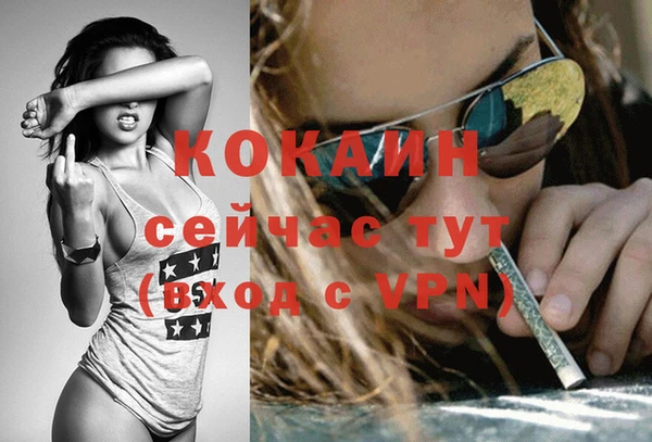 крисы Михайлов