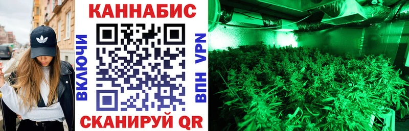 Шишки марихуана VHQ  Купить закладки  Кудрово 